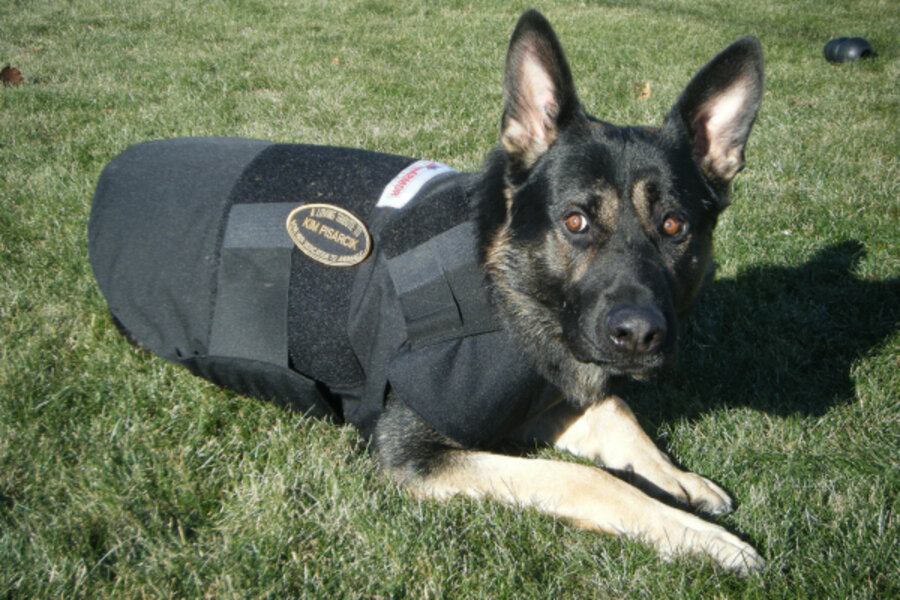 Cindy Elkind started Kevlar for K9s to protect 'working' dogs
